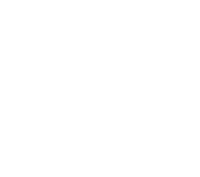 Ortho Remedy